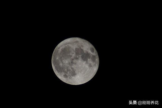 4 深度评测：优缺点大揭秘到底值不值得买？不朽情缘游戏网站址OPPO Reno 1(图4)