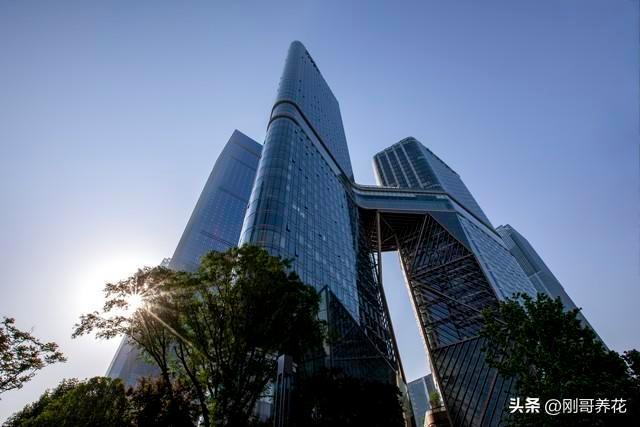 4 深度评测：优缺点大揭秘到底值不值得买？不朽情缘游戏网站址OPPO Reno 1(图5)